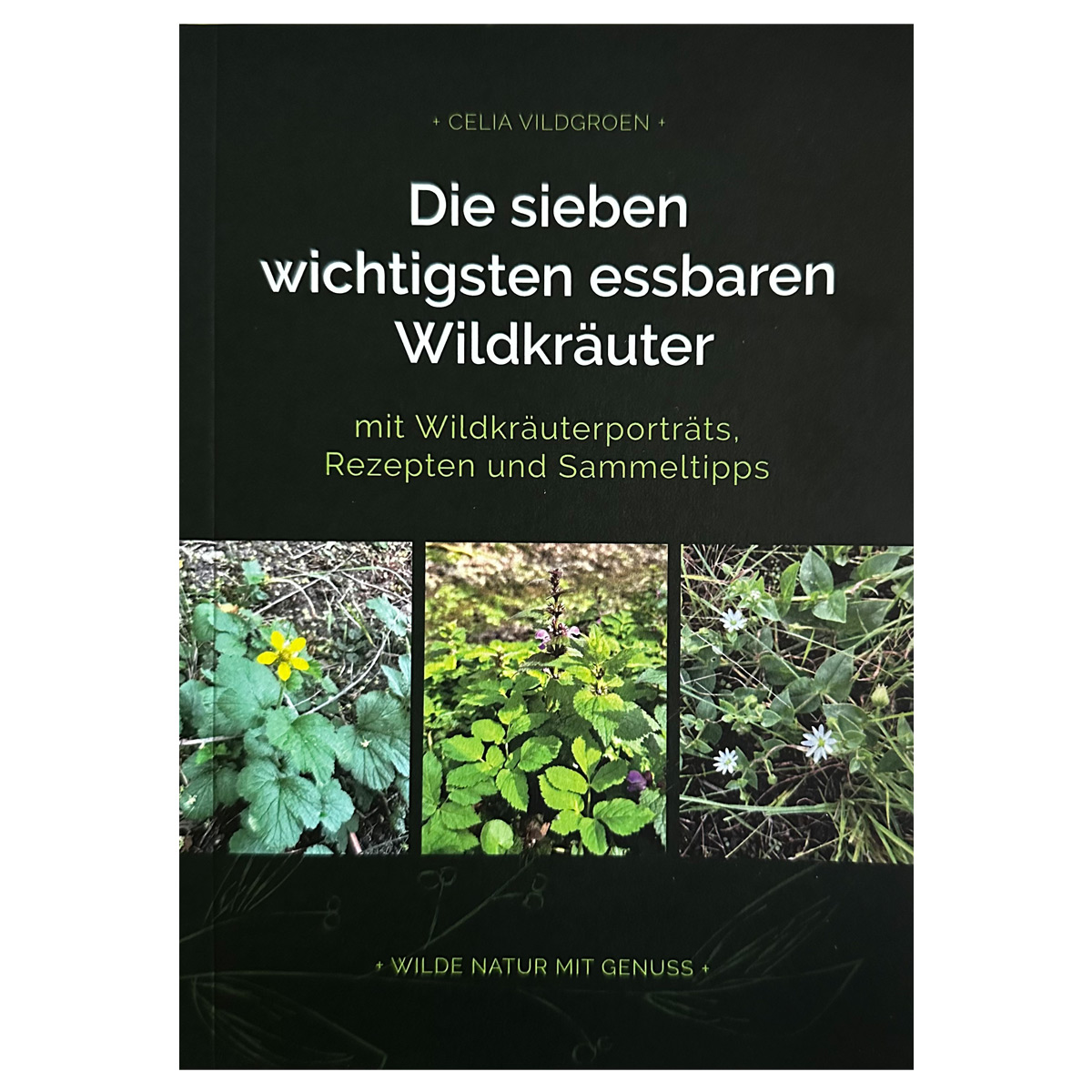 Wildkräuter Buch Celia Vildgroen